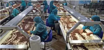  ??  ?? Afghan women working at a raisin factory on the outskirts of Kabul. — AFP photos