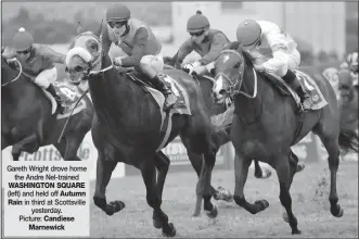  ??  ?? Gareth Wright drove home the Andre Nel-trained WASHINGTON SQUARE (left) and held off Autumn Rain in third at Scottsvill­e yesterday. Picture: Candiese Marnewick