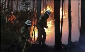  ??  ?? Plus de 900 pompiers ont été mobilisés pour venir à bout des flammes.