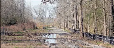  ?? Doug Walker ?? A 2-mile stretch of the new Mount Berry Trail will be the next section of the Rome Heritage Riverways Trail system to open later this spring.