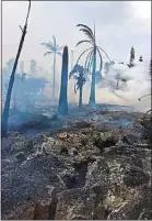  ??  ?? Les fissures se multiplien­t sur le flanc est du volcan Kilauea.