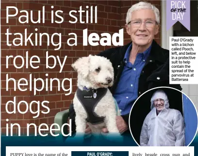  ??  ?? Paul O’Grady with a bichon called Pooch, left, and below in a protective suit to help contain the spread of the parvovirus at Battersea