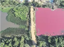  ??  ?? Hace un año, el caso de la “laguna roja” cobró estado público.