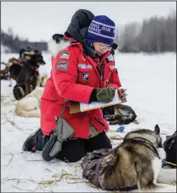  ??  ?? VET CHECK— Race veterinari­ans check on Aaron Burmeister’s dogs in Skwentna.