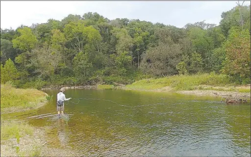  ?? NWA Democrat-Gazette/FLIP PUTTHOFF ?? Fly fishing is the method of choice for Daniel Roberts of Springdale in his quest to catch smallmouth and largemouth bass from Ozarks streams. Roberts wades Little Sugar Creek near Pineville, Mo.