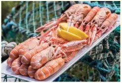  ??  ?? Below: Langoustin­es of the freshest variety.