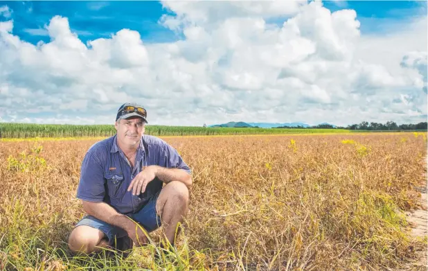  ?? Picture: SUPPLIED ?? WIN-WIN: North Queensland cane grower Robert Bonassi said improving his soil health has helped him slash fertiliser rates without affecting yield.