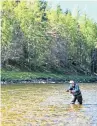  ??  ?? Phil Rennie fishing for salmon while enjoying the lure of the river once again.