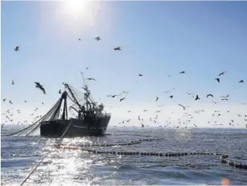  ?? FOTO: ARCHIVO ?? La actual Ley de Pesca fue impulsada por el ex ministro de Economía, Pablo Longueira.