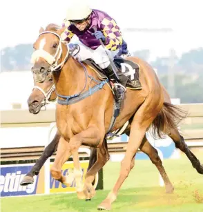  ??  ?? Hieronymus could be the best value in Race 7 at Turffontei­n tomorrow over 1 600m. /J C P HOT O GRAPHICS