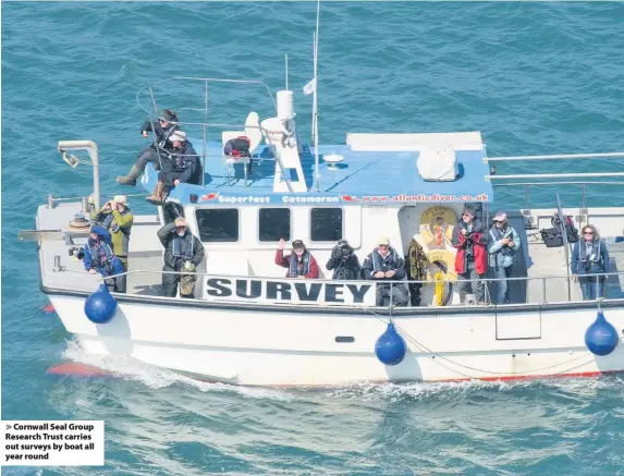  ??  ?? > Cornwall Seal Group Research Trust carries out surveys by boat all year round