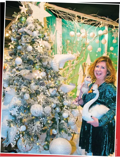  ??  ?? Blizzard of glitter: Jan chooses between a frog in a tutu or a swan with a crown at Bents Garden &amp; Home Centre. Top left: One of the room-sets in its Christmas grotto, where you can pick up a penguin or unicorn for your tree