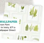  ??  ?? Sanderson Fern Gallery in ivory, £71 a roll, Wallpaper Direct