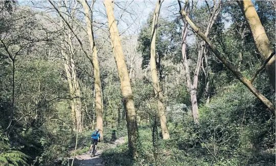  ?? MANÉ ESPINOSA ?? Un ciclista en la zona de la Font Groga, en Sant Cugat, unos de los parajes del parque natural