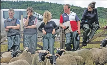  ??  ?? Waiting for the sheep judging. 16_T32_Bunessansh­ow08