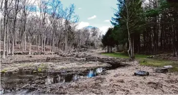  ?? Fred Jacobsen/Contribute­d photo ?? A still from a drone video submitted as testimony to the Greenwich Inland Wetlands and Watercours­es Agency on March 25 shows an area of clear cut riparian forest and wetlands adjacent to Indian Springs Pond.