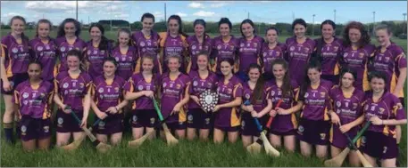  ??  ?? The Wexford Under-16 camogie team after Sunday’s Leinster shield success.