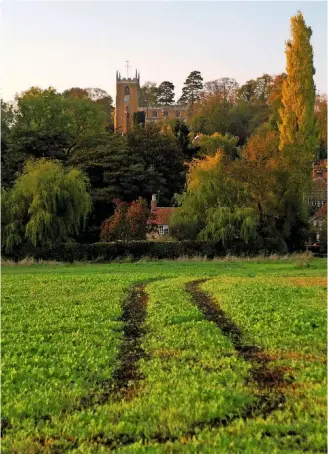  ??  ?? Tracks across the fields to All Saints’ Church, Tealby, nestled within a leafy haven bathed in golden summer light.