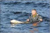  ?? 01_B02dook03 ?? A man and his dog take to the water to enjoy a swim in the bay.