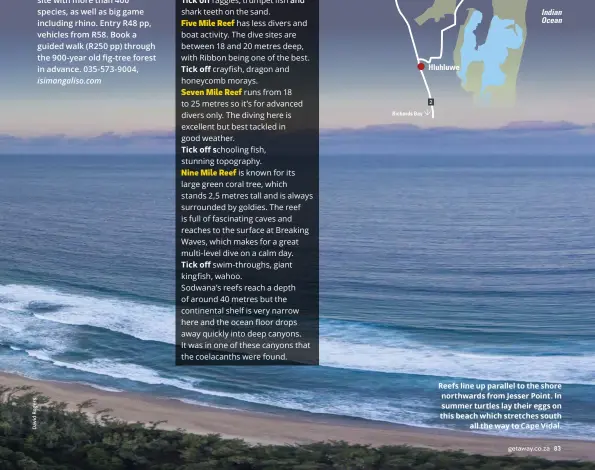 ??  ?? Reefs line up parallel to the shore northwards from Jesser Point. In summer turtles lay their eggs on this beach which stretches south all the way to Cape Vidal.