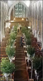  ??  ?? Tree-lined: Dunblane Cathedral