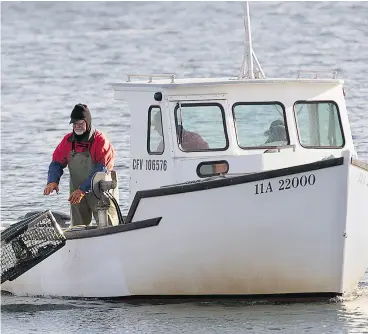  ?? ANDREW VAUGHAN / THE CANADIAN PRESS ?? The Transporta­tion Safety Board said in a report Wednesday government and the commercial fishing industry need to work together to ensure everyone works safely.