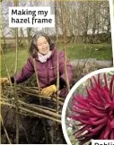  ??  ?? Making my hazel frame