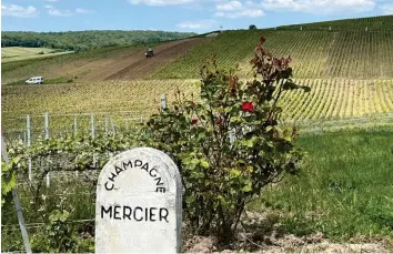  ?? ?? Le colline del più famoso dei vini pétillants.