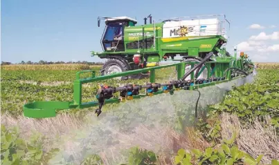  ?? OLIVER KORNBLIHTT ?? El alerta. En esta campaña aumentaron los problemas de control de Amaranthus palmeri, dice un informe del REM.