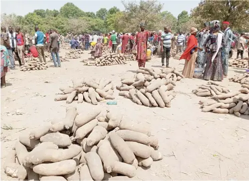  ?? ?? Insecurity has jerked up prices of yam seeds n Niger State
