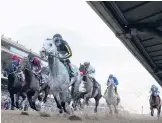  ?? JAE C. HONG/AP ?? The Breeders’ Cup was run last week without the use of anti-bleeding medication Lasix on race day, which would be the norm for races under new rules.