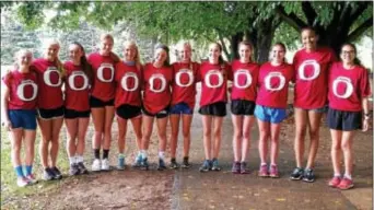  ??  ?? Members of the Cardinal O’Hara cross country team are 3A championsh­ip that they won last fall. ready to defend the PIAA Class