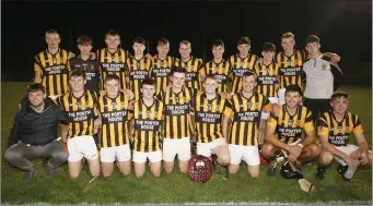  ??  ?? The Shelmalier­s team who defeated Oulart-The Ballagh in the Under-21 ‘B’ hurling final.