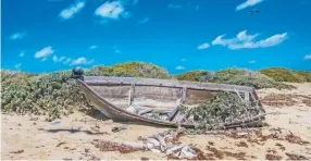  ??  ?? En estas playas caribeñas es normal ver botes abandonado­s en cuyos interiores aún se encuentran latas de comida, botes de agua, ropa abandonada y medicament­os contra el mareo.