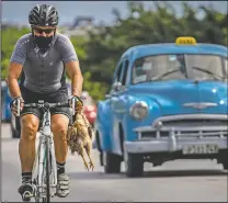  ??  ?? A cyclist carries a chicken while he pedals his bicycle in Havana.