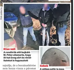  ?? ?? Ittas volt
A rendőrök elől bujkáló M. Péter elismerte, hogy öt-hat üveg sört és röviditalo­kat is fogyasztot­t
Sebek
A vétkes sofőr is megsérült: azt mondja, olyannyira beütötte a fejét, hogy amnéziája volt