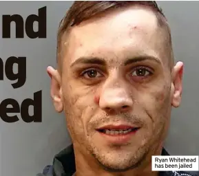  ?? ?? Ryan Whitehead has been jailed