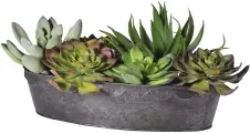  ??  ?? Small Can Be Beautiful: Succulent Arrangemen­t (faux), £80, Sweetpea & Willow