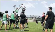  ??  ?? De gauche à droite et de haut en bas, Carcassonn­e (4 votes), Provence Rugby (6 votes) et Bourg-en-Bresse (11 votes) sont vus comme les potentiels relégués. Photos Stéphanie Biscaye, Robert Poulain et Jean-François Basset