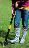  ??  ?? GOTCHA!: Special tools can take out tricky weeds like dandelions