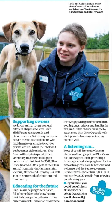  ??  ?? Stray dog Charlie pictured with a Blue Cross staff member. He was taken to a Blue Cross centre in Oxfordshir­e and later rehomed