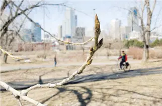  ?? JOHN KENNEY, GAZETTE FILES ?? With trees in bud, grass visible again now that snow has melted, and temperatur­es becoming milder, people are spending more time outdoors; they’re turning their thoughts to landscapin­g and sprucing up their homes’ exteriors.