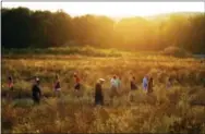  ?? THE ASSOCIATED PRESS ?? Visitors make their way through the Flight 93 National Memorial before lit candles are carried to the Wall of Names on Saturday evening in memory of the passengers and crew of Flight 93, at the Flight 93 National Memorial in Shanksvill­e, Pa., as the...