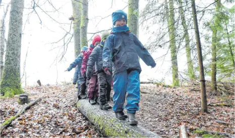  ?? FOTO: CARSTEN REHDER/DPA ?? Balanciere­n, klettern, seine Kräfte erproben – im Waldkinder­garten gibt es viel auszuprobi­eren und zu lernen.