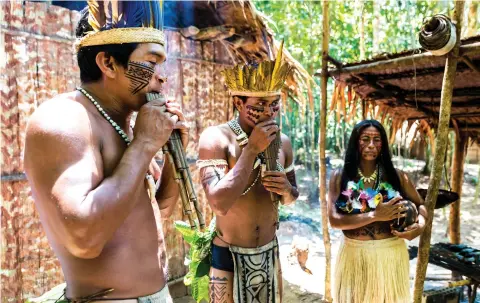  ??  ?? The Amazon is home to more than 400 indigenous communitie­s which are traditiona­lly living in perfect harmony with nature and protecting its biodiversi­ty