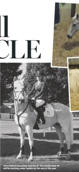  ??  ?? Jerry before becoming severely ill. The family hope he will be hacking under saddle by the end of the year