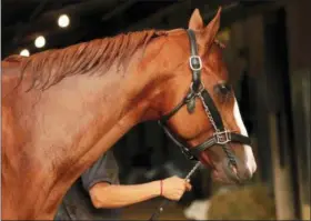  ?? ANDRES KUDACKI — THE ASSOCIATED PRESS ?? Justify is led to the stable after winning the 150th running of the Belmont Stakes horse race and Triple Crown, Saturday in Elmont, N.Y.