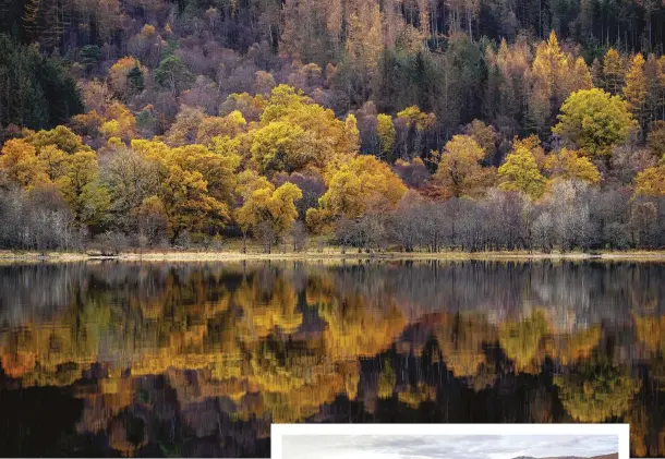  ??  ?? TOP Mixed woodland fringes Loch Arkaig, with oak, juniper, hazel, alder and aspen near the shore and birch, rowan, Scots pine and non-native pines at higher altitudes
ABOVE Small islets such as Fir Island provide a glimpse of what the land would look like without years of deforestat­ion