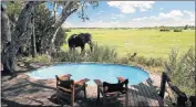  ??  ?? POOL PARTY: Tourists visiting Mombo Lodge are often joined by elephants at the swimming pool