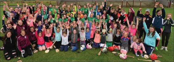  ??  ?? Kerry camogie players and mentors held a ‘Meet and Greet’ for supporters at Causeway GAA Sportsfiel­d last Friday, where many locals got pictures and autographs. Photo by Domnick Walsh